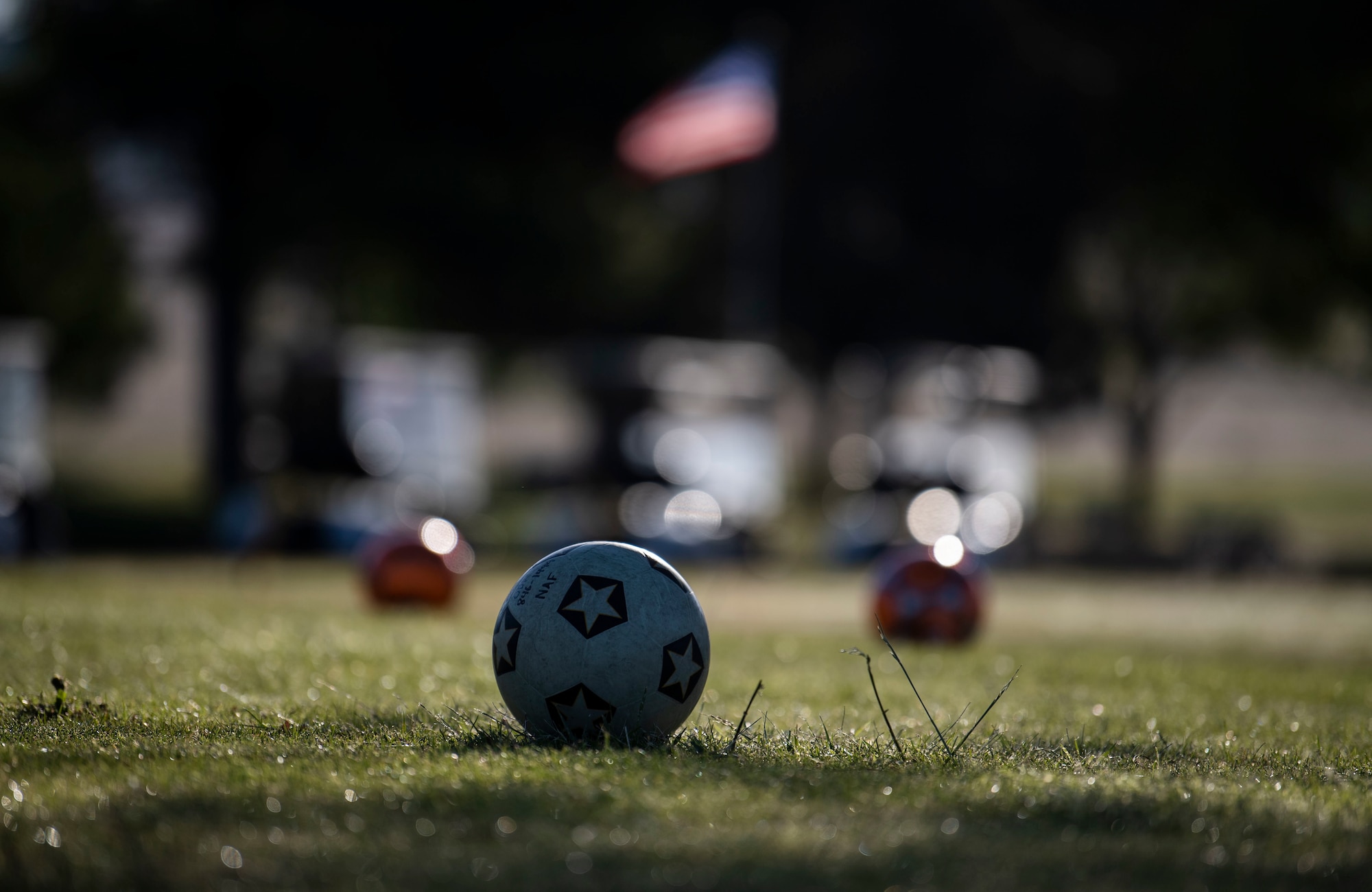 A display of soccer balls.