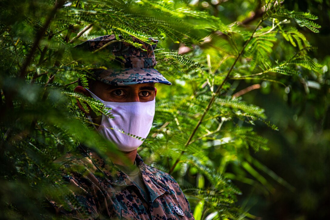 A Marine wearing a protective face mask stands amid bushes.