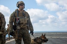 PHILIPPINE SEA (Feb. 4, 2020) Cpl. Andrew Richter, a military working dog handler, and Jack-Jack, a military working dog, with the 31st Marine Expeditionary Unit’s (MEU) Maritime Raid Force provide security for their fellow Marines during a visit, board, search and seizure (VBSS) full mission profile aboard the Whidbey Island-class dock landing ship USS Germantown (LSD 42). VBSS incorporates air, ground and surface combat assets from across the Blue-Green team to quickly interdict adversary ships at sea. Germantown, part of the America Expeditionary Strike Group, 31st MEU team, is operating in the U.S. 7th Fleet area of operations to enhance interoperability with allies and partners and serve as a ready response force to defend peace and stability in the Indo-Pacific region. (Official U.S. Marine Corps photo by Lance Cpl. Joshua Sechser)