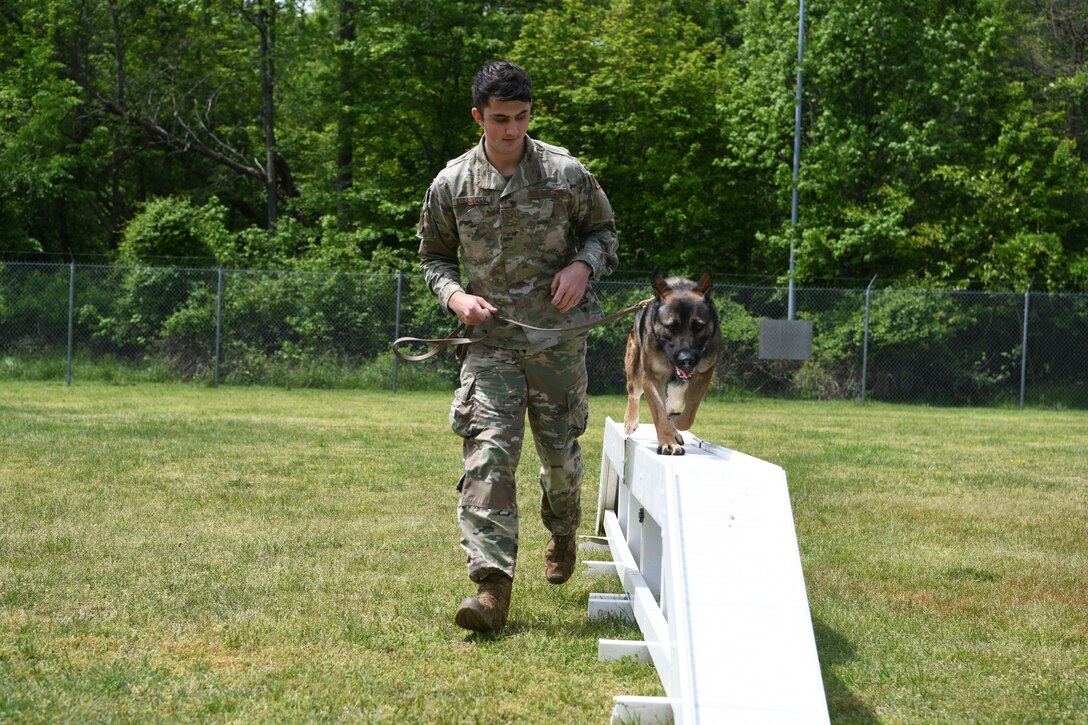 Staff Sgt. Trenton Kissinger, 11th Security Support Squadron military working dog handler, takes Edo, MWD, over a beam obstacle at Joint Base Andrews, Md., May 14, 2020. MWDs are trained on obstacle courses with verbal commands to support their 24/7 mission requirement. Police Week is held annually during whichever week May 15th falls to honor all law enforcement officers past and present. (U.S. Air Force photo by Airman 1st Class Spencer Slocum)