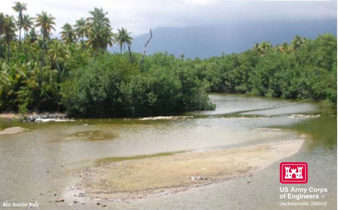 A portion of the river with trees and mountains on the background