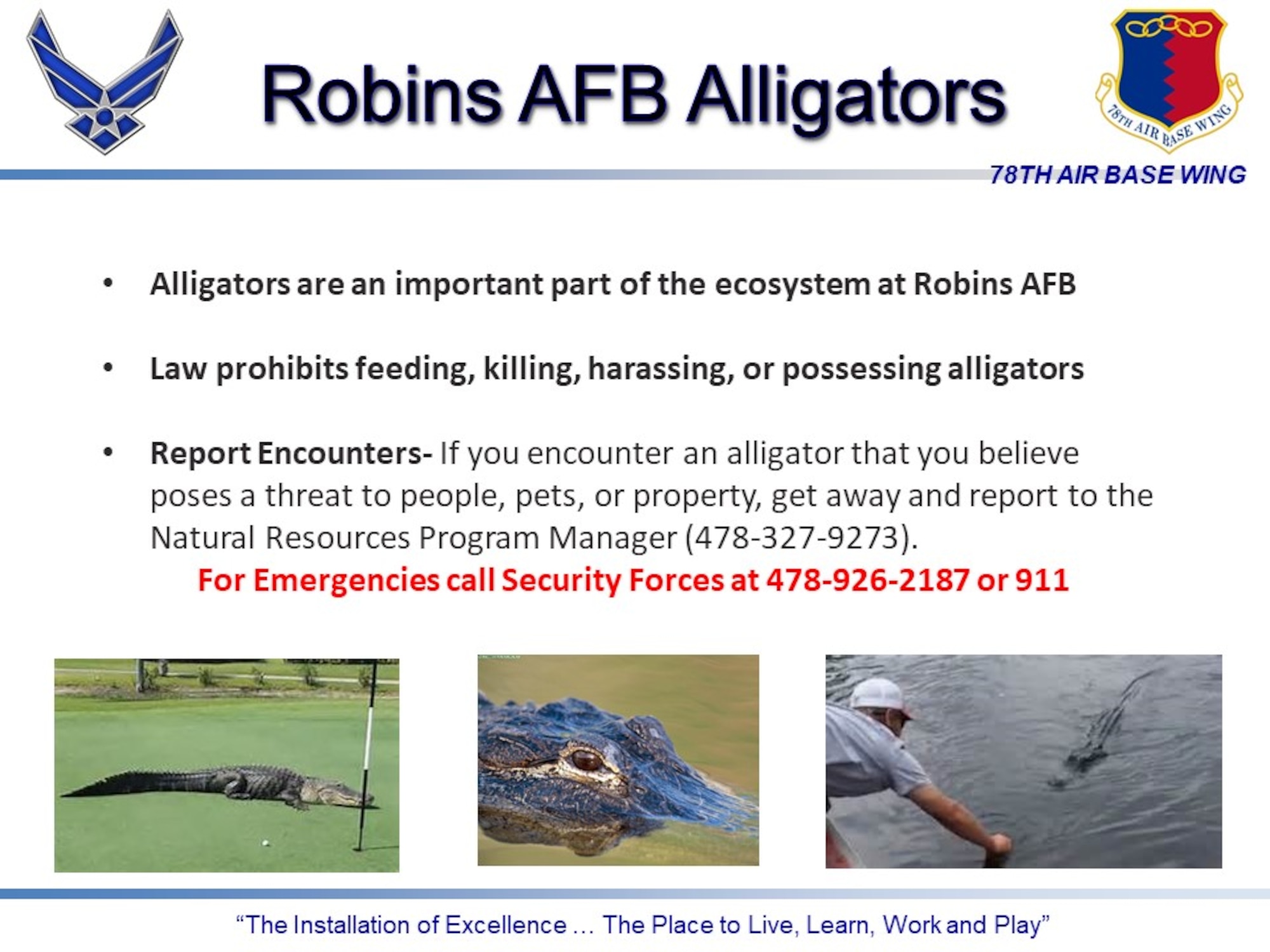 Graphic shows photos of alligators and says to call Security Forces in an emergency at 478-926-2187.