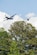 Two C-130H3 Hercules from Dobbins perform a flyover for Piedmont Mountainside hospital in Jasper, Ga. on May 14, 2020. The hospital flyover was one of several that day, serving as a way of saying thanks for all the tireless work healthcare workers and first responders have put in to help keep Georgia safe. (U.S. Air Force photo/Andrew Park)