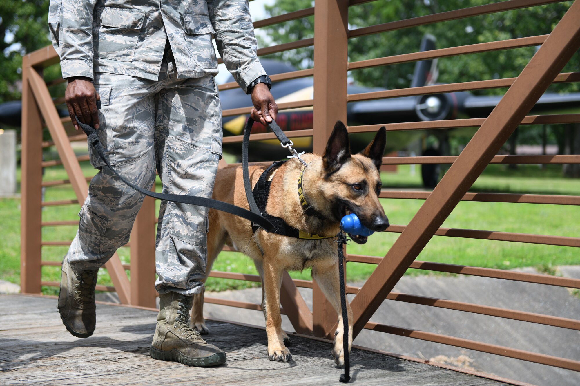 Man walking with military dog