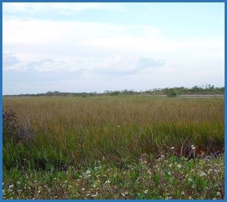 View of Everglades National Park