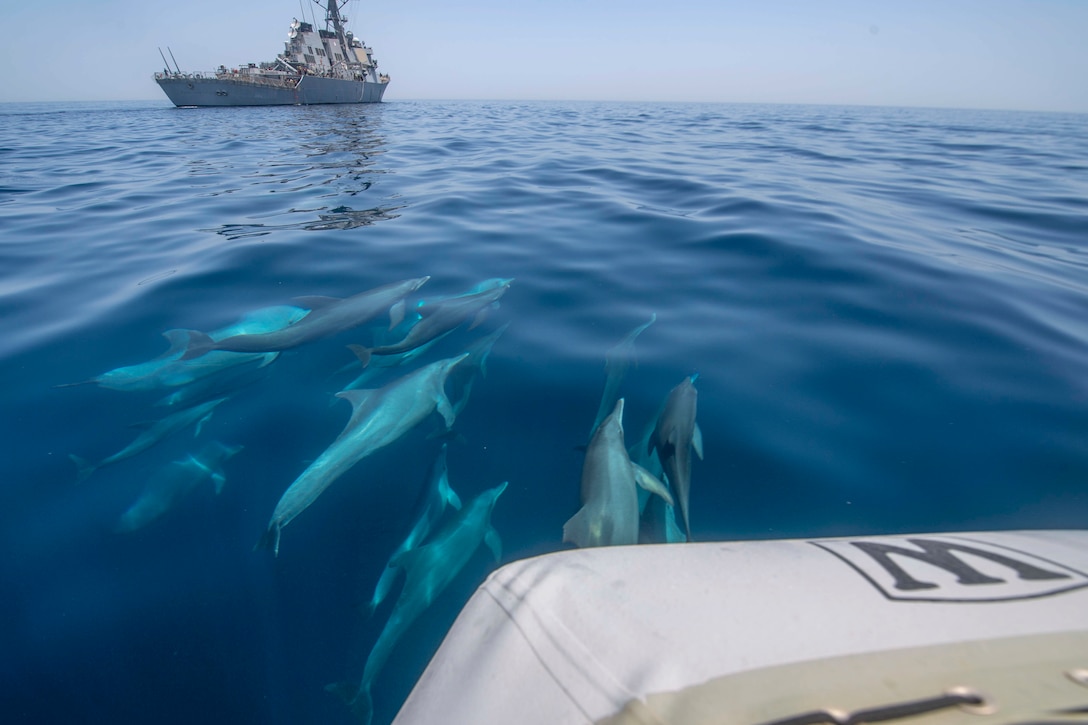 A group of dolphins swim next to a ship.