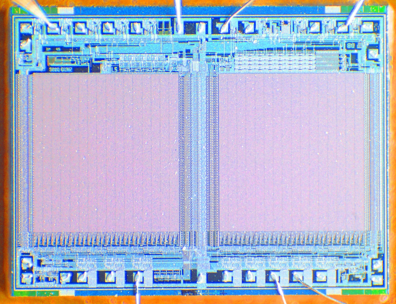 A microchip contains thousands of delicate components.