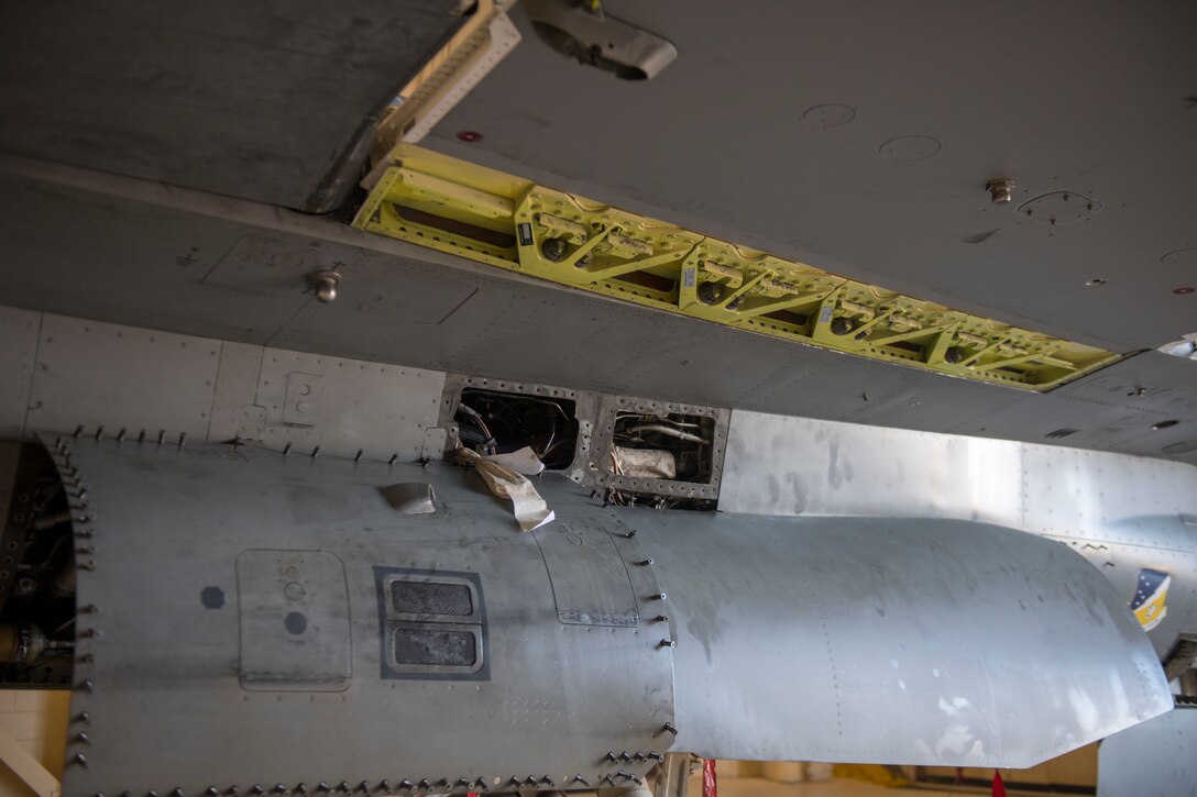 Quarantine Cheat Code