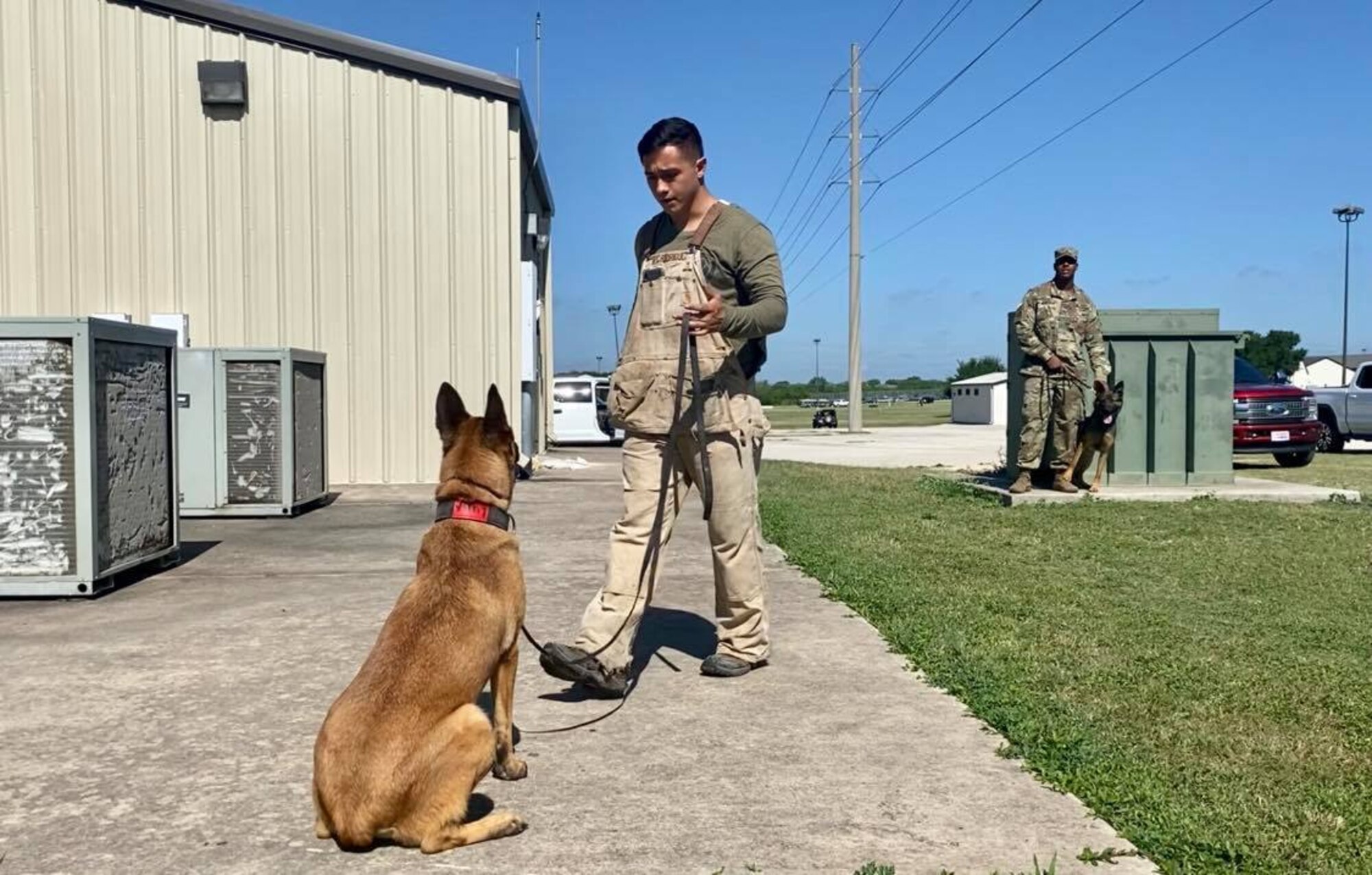 The 341st Training Squadron conducts all military working dog initial training as well as all MWD handlers courses for the Department of Defense right here at Joint Base San Antonio-Lackland, Texas. This elite team was able to share what they do with a class of 4th grade students from Buda Elementary School during a virtual canine demonstration, May 18, 2020.