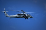Helicopter Sea Combat Squadron C-25 Provides urgent MEDEVAC from cruise ship