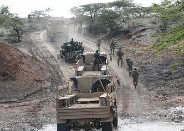 US Army Soldiers assigned to the 2nd Battalion, 502nd Infantry Regiment navigate a low-water crossing with members of the Ethiopian National Defense Force during a cordon and search training exercise at the Hurso Training Center near Dire Dawa, Ethiopia, 19 July 2019. The situational training exercise was conducted as part of Justified Accord 2019. Justified Accord is an annual combined, joint exercise designed to strengthen partnerships, increase interoperability, and enhance the capability and capacity of international participants to promote regional security and support peacekeeping operations for the African Union Mission in Somalia (AMISOM).