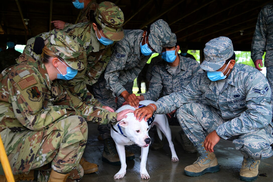 Military members in masks and a therapy dog are deployed to assist COVID-19 residents.