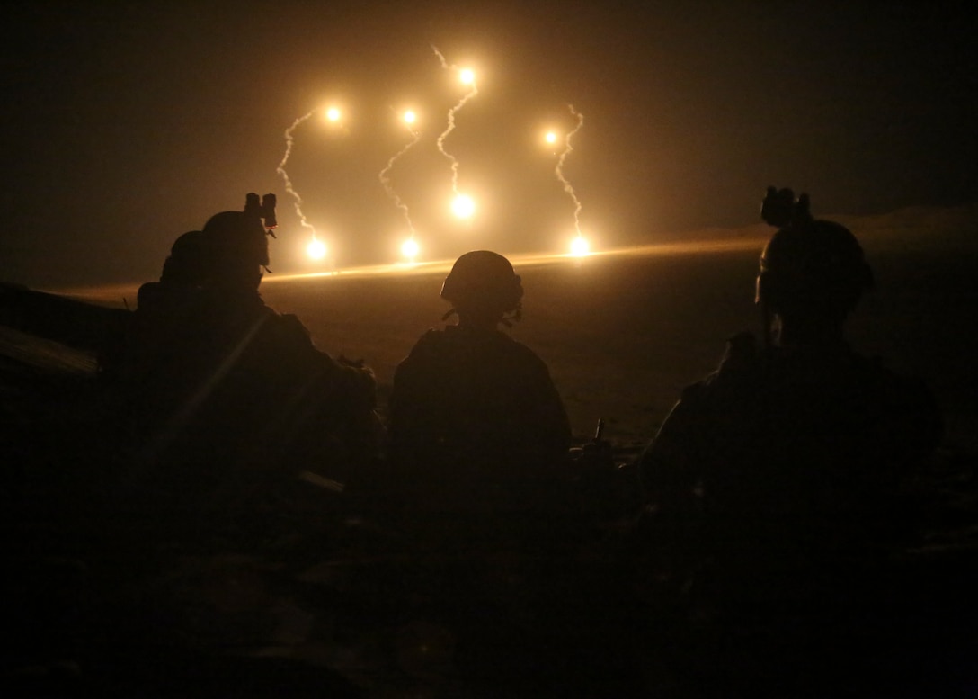 U.S. Marines observe 81 mm mortar illumination during a Fire Support Coordination Exercise, May 14.