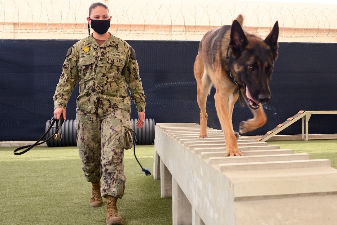 A sailor wears a mask as a dog walks on a raised platform beside her.