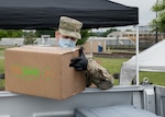 Staff Sgt. Nathan McElrath, a member of the 138th Fighter Wing, Oklahoma National Guard, loads food into a truck at a mobile food pantry May 13, 2020, in Tulsa, Oklahoma. Due to COVID-19, Guard members have been working at food banks to replace the vital volunteer force they rely on, until it is safe to have them return.