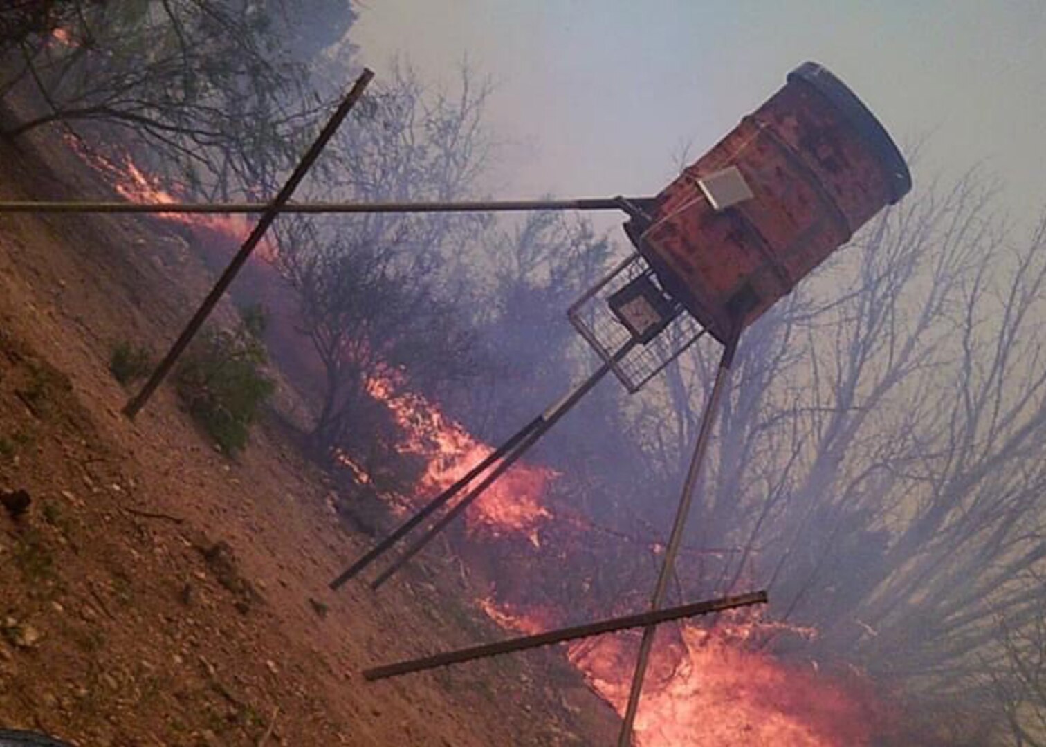 Fire near tripod wildlife feeder