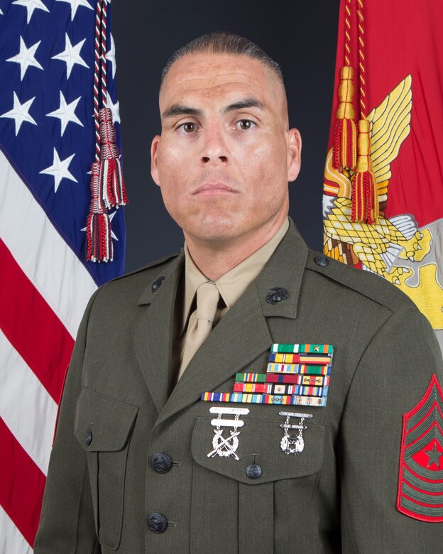 Sergeant Major 2nd Battalion 24th Marine Regiment Marine Corps 