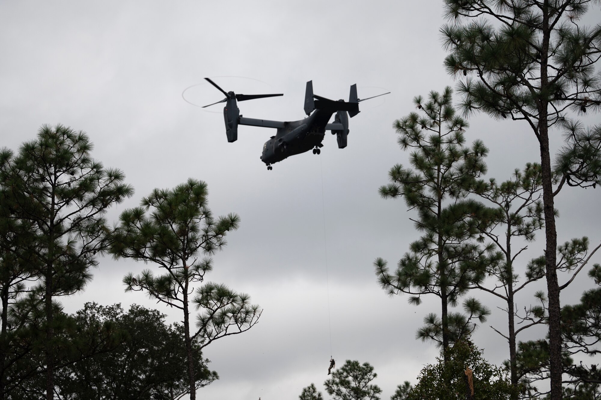 Over the tops of trees in the foreground we can see a hovering dual-rotor helicopter lowering a Special Tactics Operator into the tree tops.