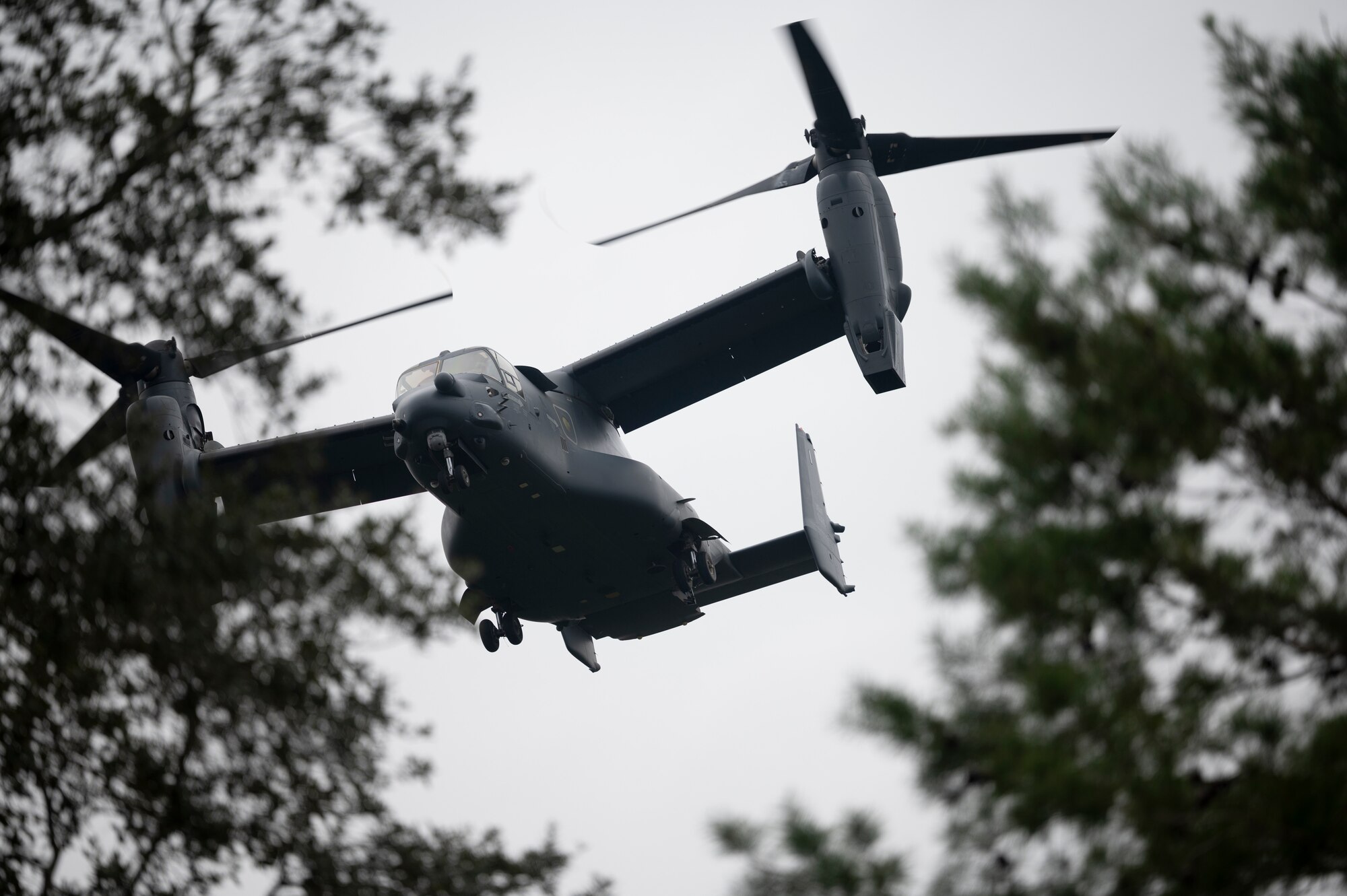 Between two trees we look up at a hovering dual-rotor helicopter.