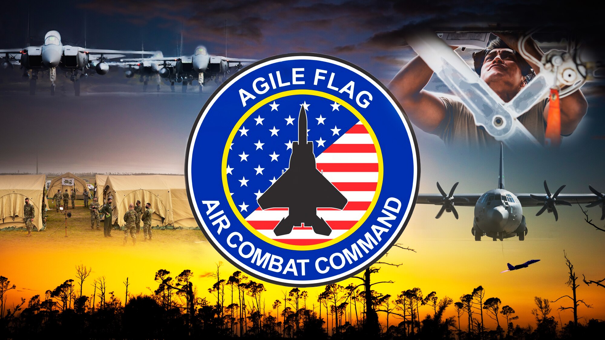 AGILE FLAG LOGO