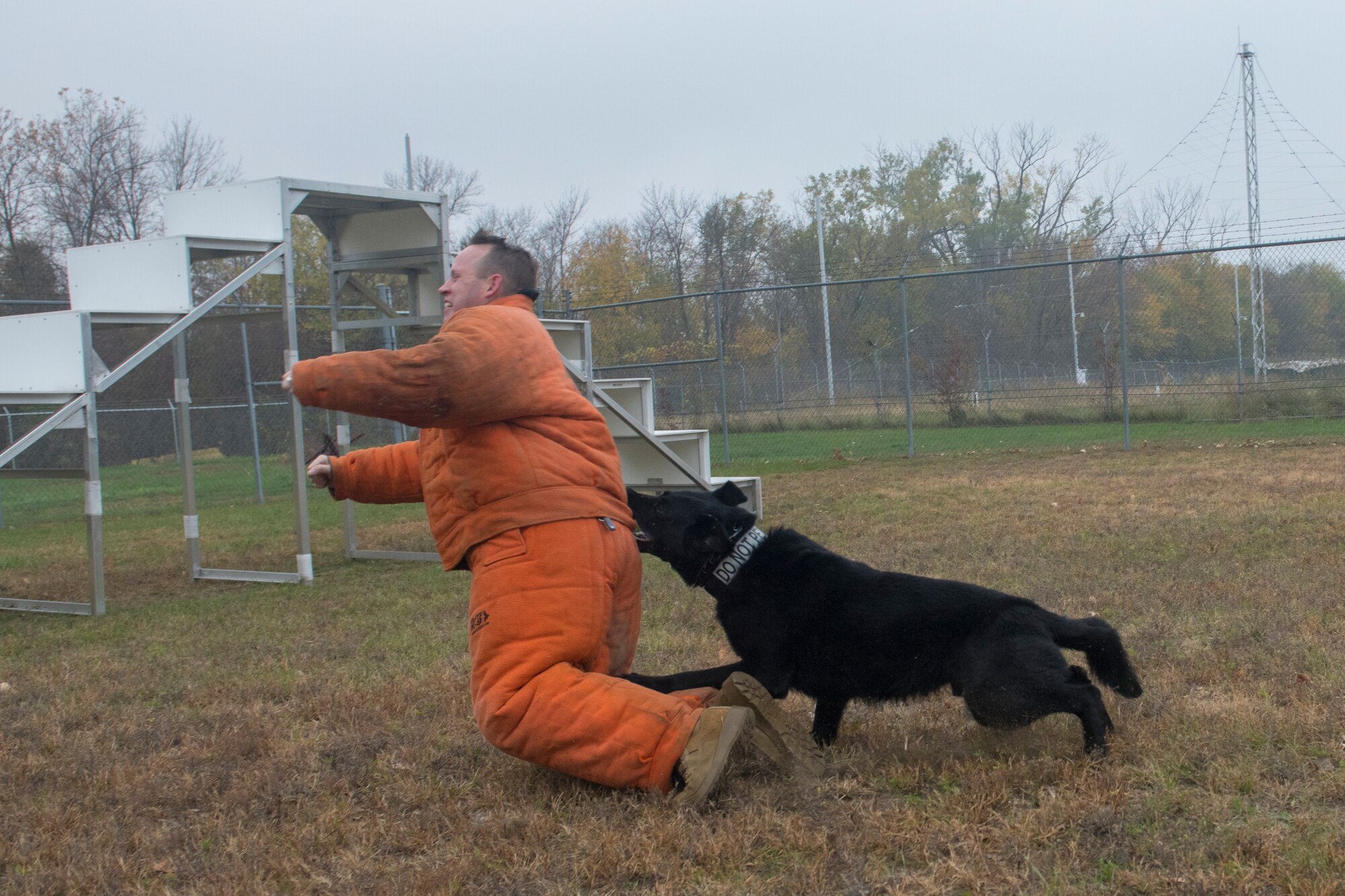 Airman in orange suit is bit by dog