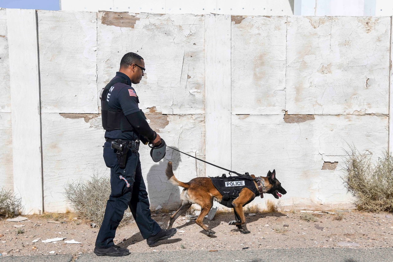 A man in a police uniform walks with a dog.