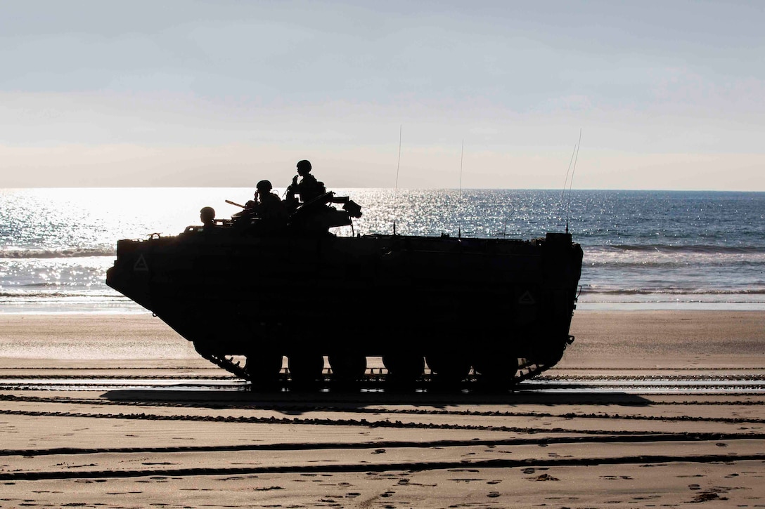 Marines drive an amphibious assault vehicle on a beach.