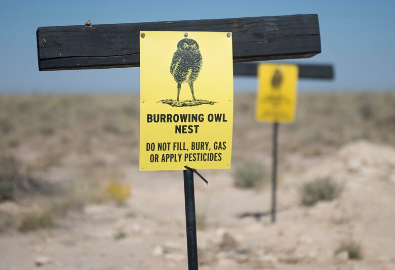 49th CES, Texas A&M contractors build artificial burrows