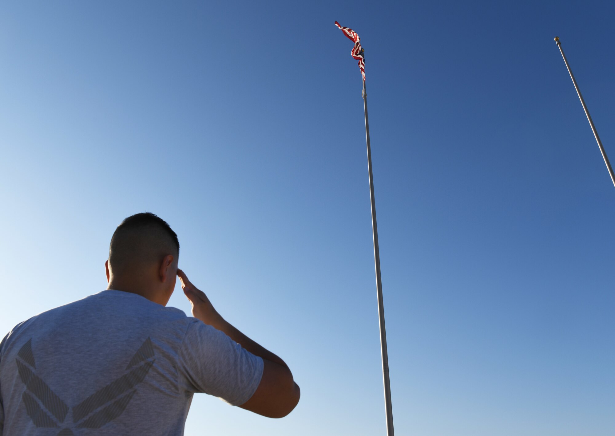 PSAB celebrates Veterans Day