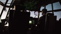 A photo of pilots flying