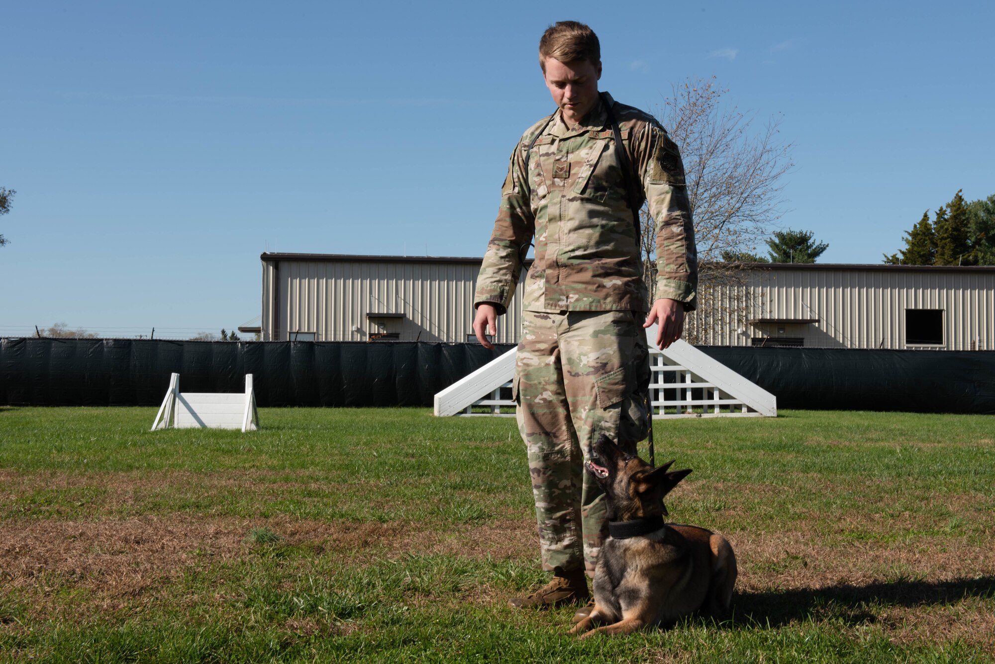 U.S. Air Force Staff Sgt. Devin Leach, 87th Security Forces Squadron military working dog trainer, prepares Erika, dual certified military working dog, for obedience training on Joint Base McGuire-Dix-Lakehurst, Nov. 6, 2020