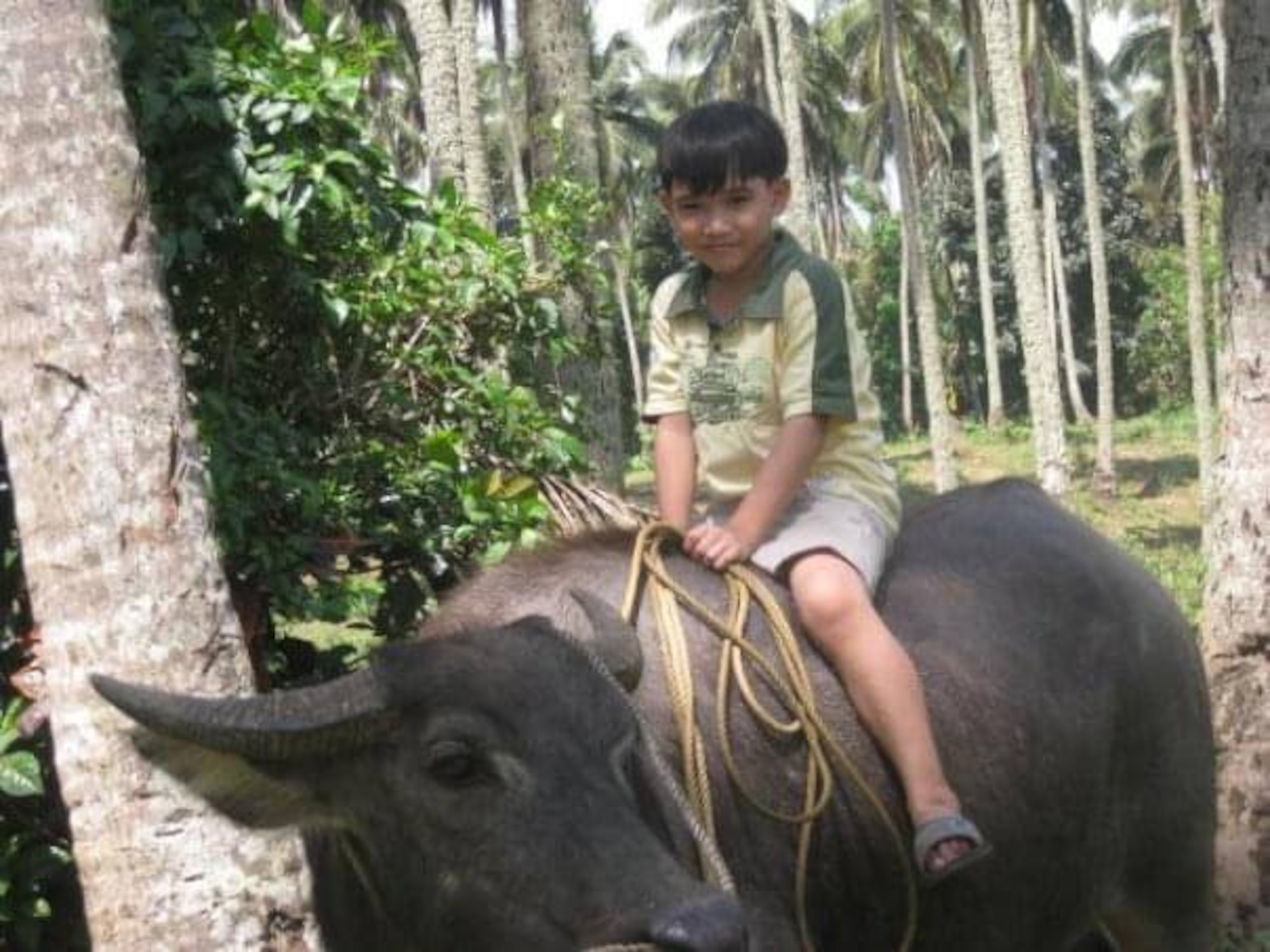 boy sits on a water buffalo