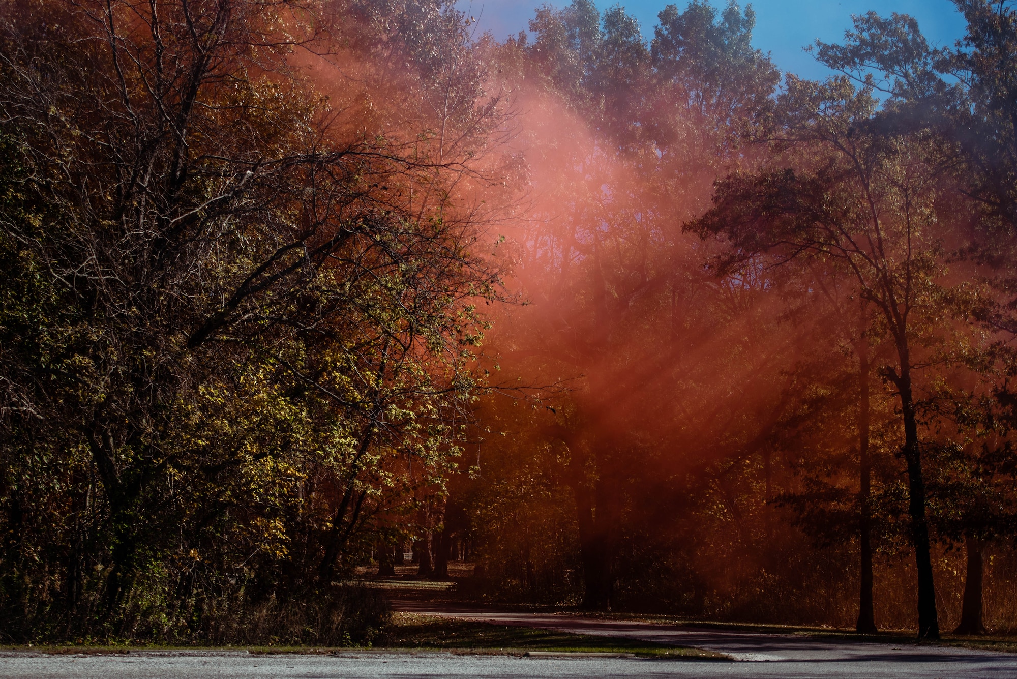 Smoke and trees