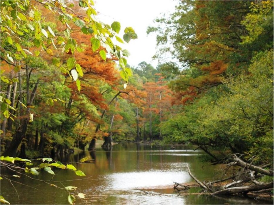The new Bayou Bodcau online map provides users with an intuitive, all-in-one informational tool for the area’s numerous recreation opportunities, including campsites, boat ramps, trailheads, designated hunting areas and day use areas.