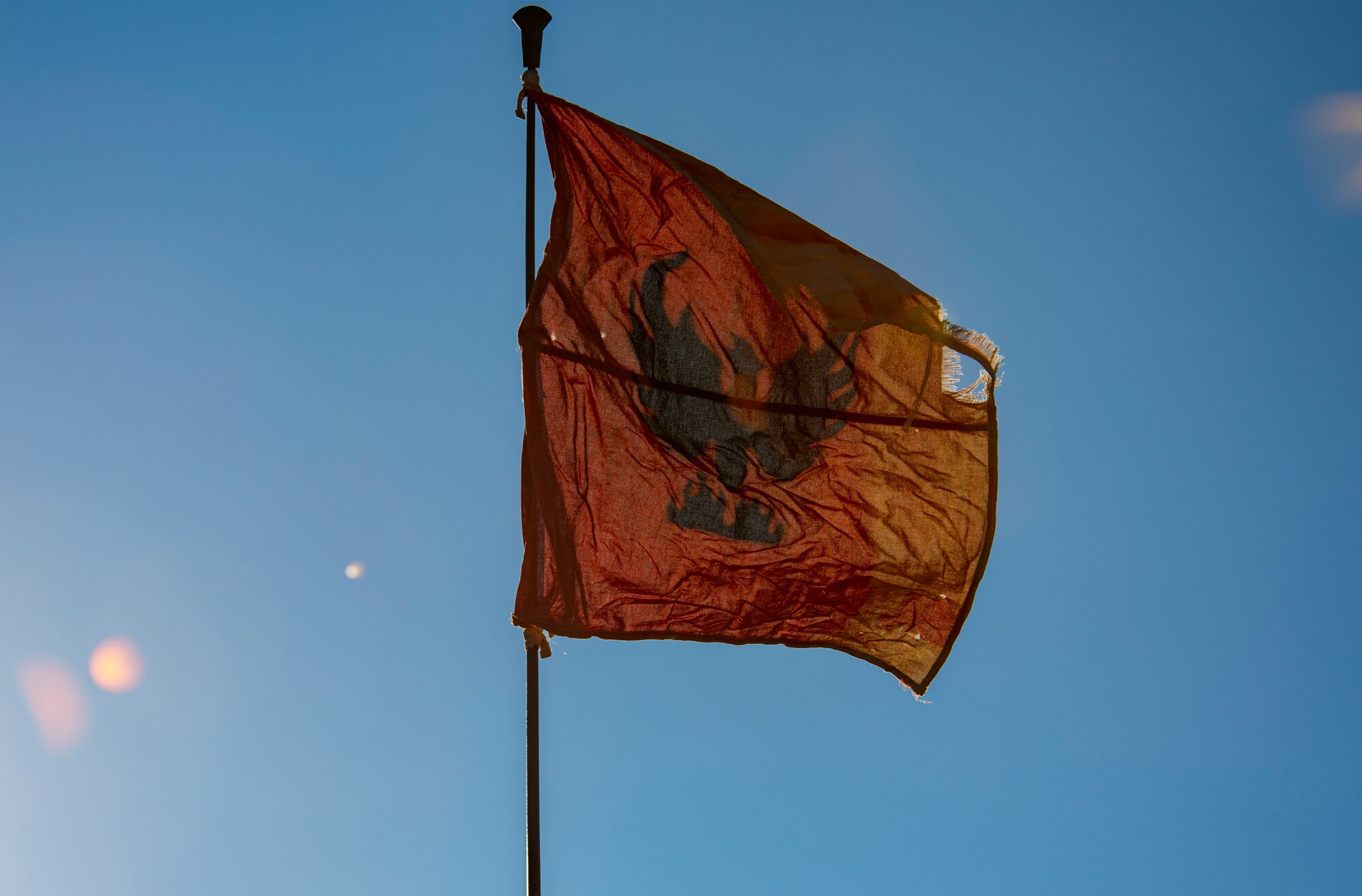 Raven flag flies in the wind.