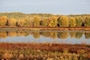 Nahant Marsh in Fall