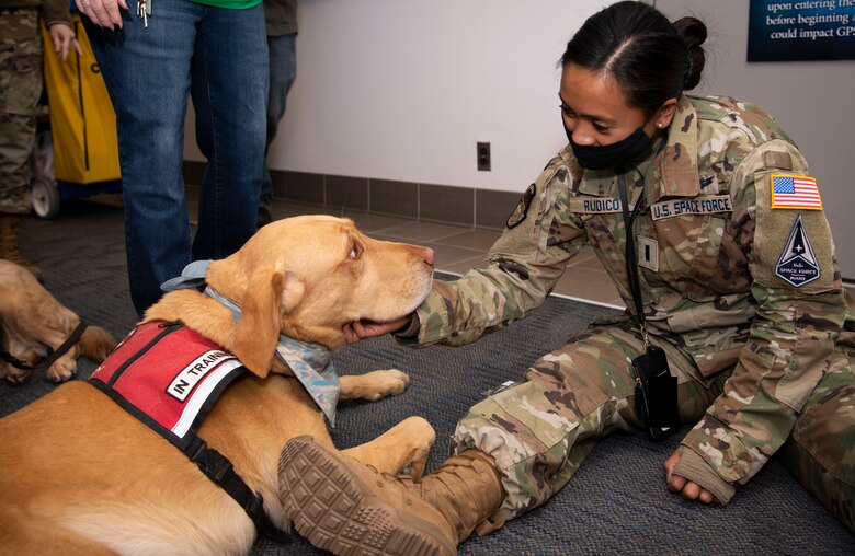 First Lt. Jocelle Rudico, 2nd Space Operations Squadron satellite vehicle operator, pets Rigley during the weekly Space Team for Airman Resilience therapy dog visit, Nov. 4, 2020, at Schriever Air Force Base, Colorado. The STAR team serves units in Deltas 8 and 9 and the 3rd SES, so they’re able to host multiple reoccurring events to boost morale among space operators.. (U.S. Space Force photo by Airman 1st Class Jonathan Whitely)