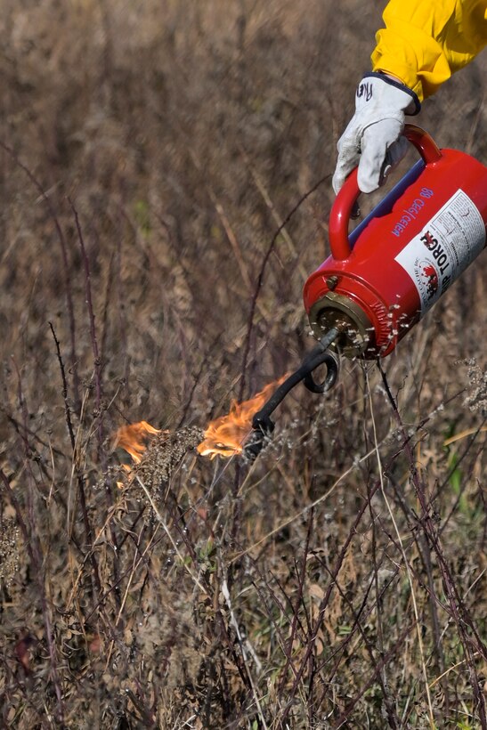 Annual Prescribed Burn Historic Huffman Prairie