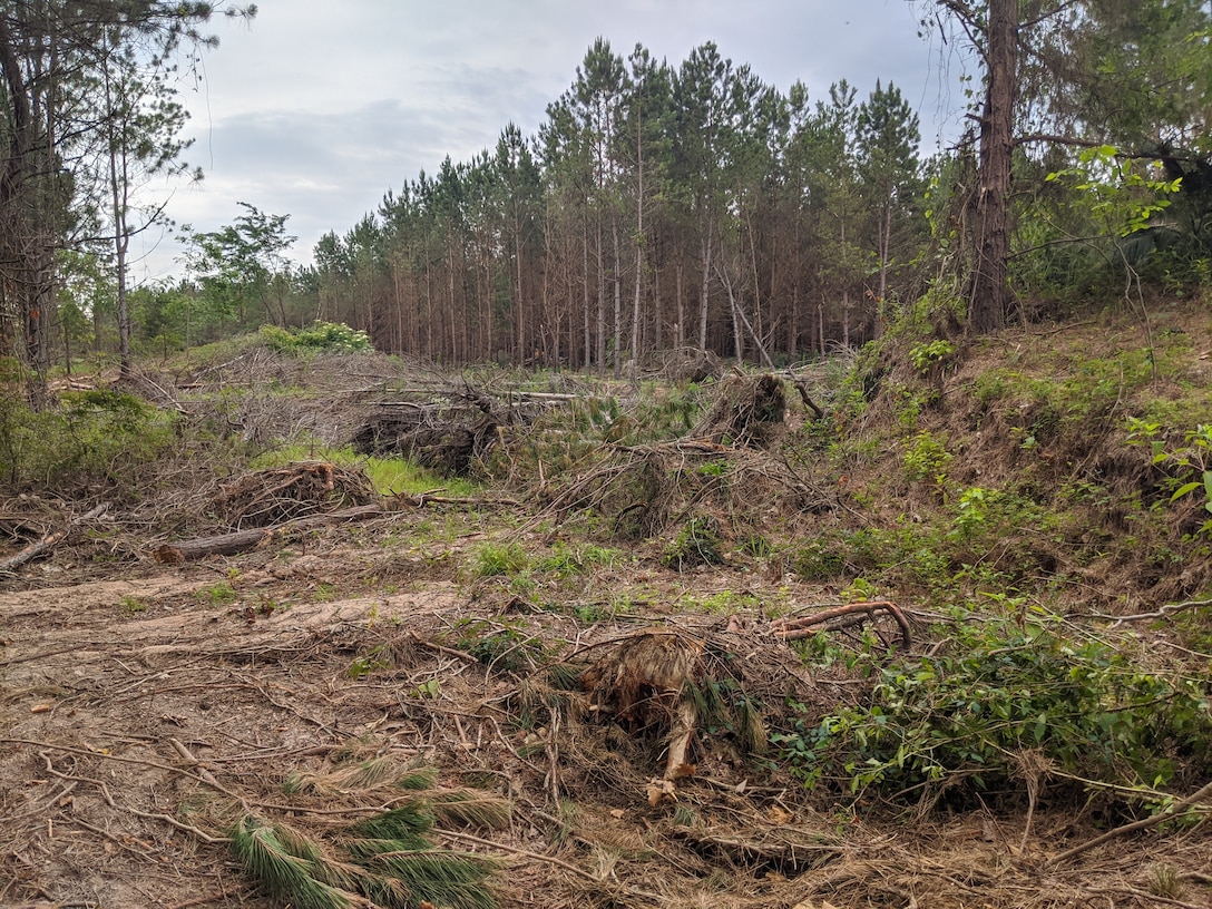 erosion and flood damage visible along the perry county levee