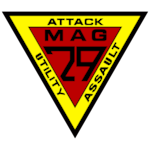 MAG-29 Unit Logo