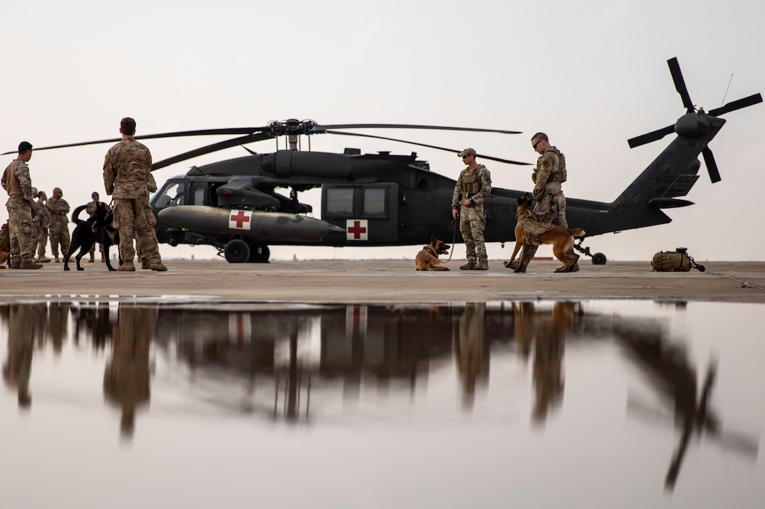 Airmen and dogs gather around a medical helicopter before boarding.