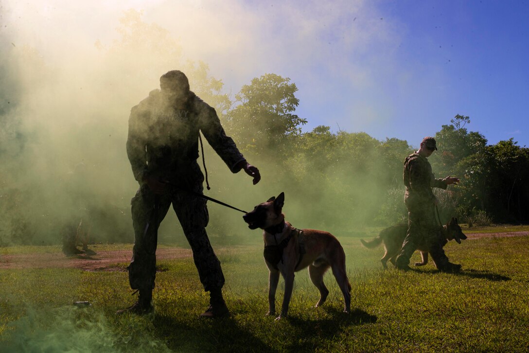 Sailors guide military working dogs through a cloud of smoke.