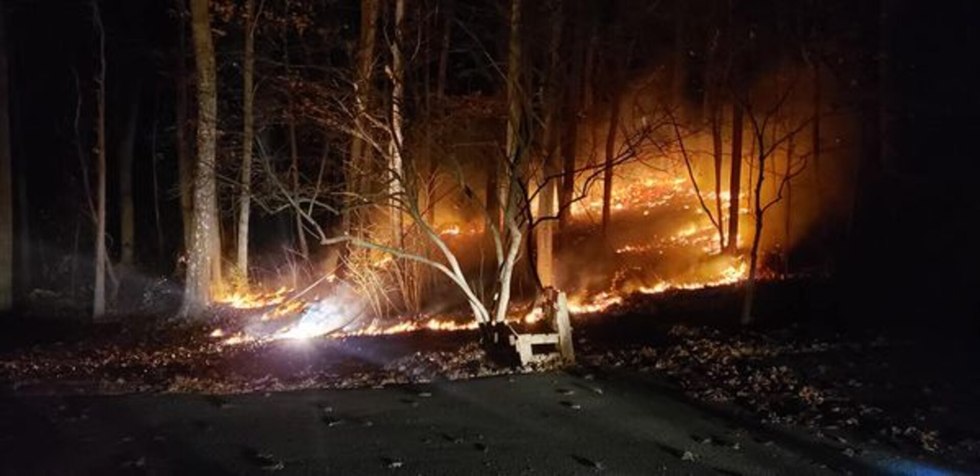 Courtesy photograph of the wildland fire that 1st Sgt. John Russell of the West Virginia National Guard's 249th Band was confronted with near his home in Winchester, Virginia, November 19, 2020. Russell utilized basic wildland firefighting training he received with the West Virginia Division of Forestry (WVDOF) in October of 2019 as part of an ongoing partnership to quickly allow Guardsmen to supplement and safely operate with WVDOF personnel in the event of large-scale wildland fires in West Virginia to rapidly help contain the fire and save a neighbors home from potential damage. (courtesy photo provided)