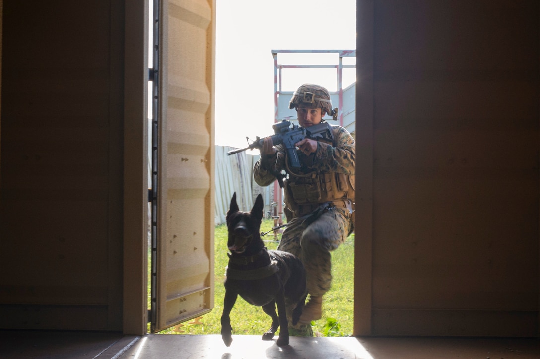 An airman holding a weapon and a military working dog enter a doorway.