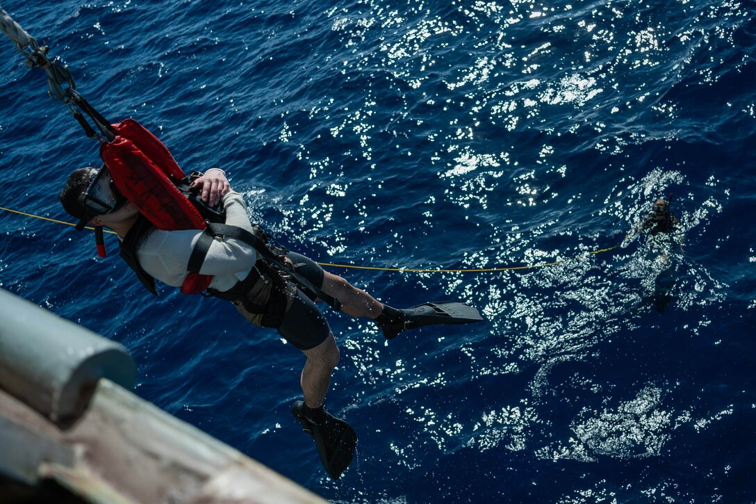 A diver lowers into the ocean.