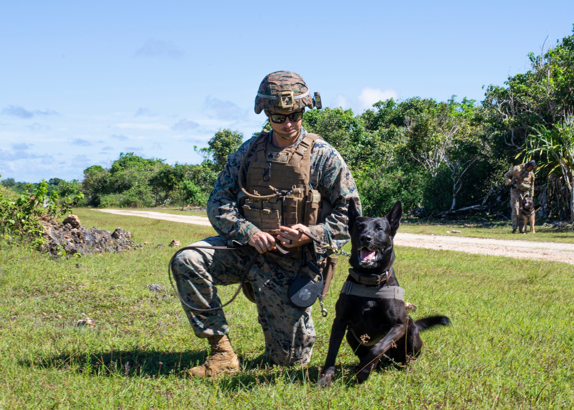 Sgt. Chase McConnell, 3rd Law Enforcement Battallion, keeps Duece calm during a pyro exercise to help military working dogs get used to the sounds of combat on Andersen Air Force Base, Guam Nov. 20. Marines and Airmen exchanged MWD techiques to enhance joint mission effectivness. (U.S. Air Force photo by Staff Sgt. Nicholas Crisp)