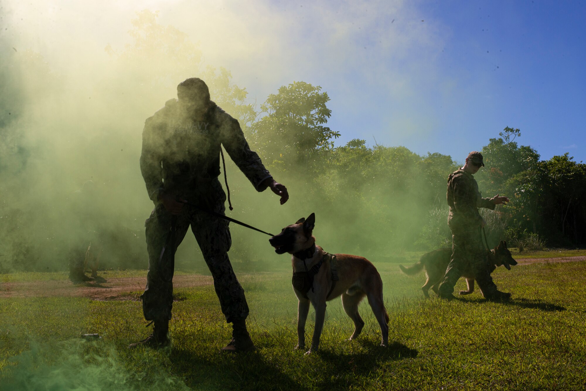 Petty Officer 2nd Class Adrian Rodriguez, U.S. Naval Base Guam K-9 Unit, guides Roni through smoke to get him used to the sights and smells of combat on Andersen Air Force Base, Guam Nov. 20. Marines and Airmen exchanged MWD techiques to enhance joint mission effectivness. (U.S. Air Force photo by Staff Sgt. Nicholas Crisp)