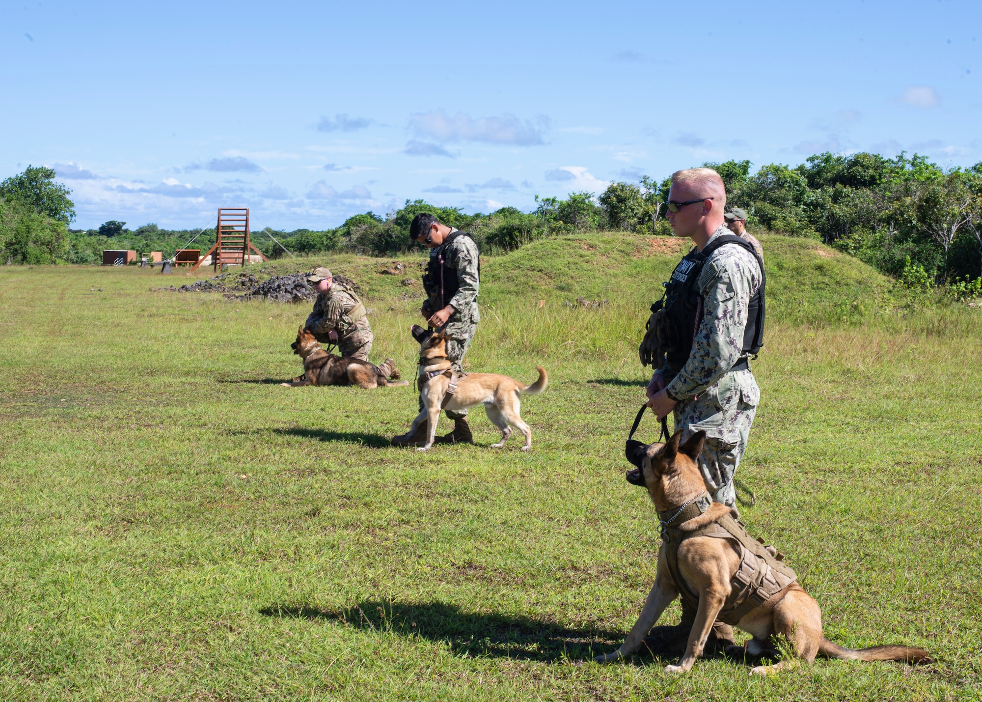 Sailors, Marines, and Airmen keep their military working dogs calm during a pyro exercise to help the the dogs get used to the sounds of combat on Andersen Air Force Base, Guam Nov. 20. The service members exchanged MWD techiques to enhance joint mission effectivness. (U.S. Air Force photo by Staff Sgt. Nicholas Crisp)