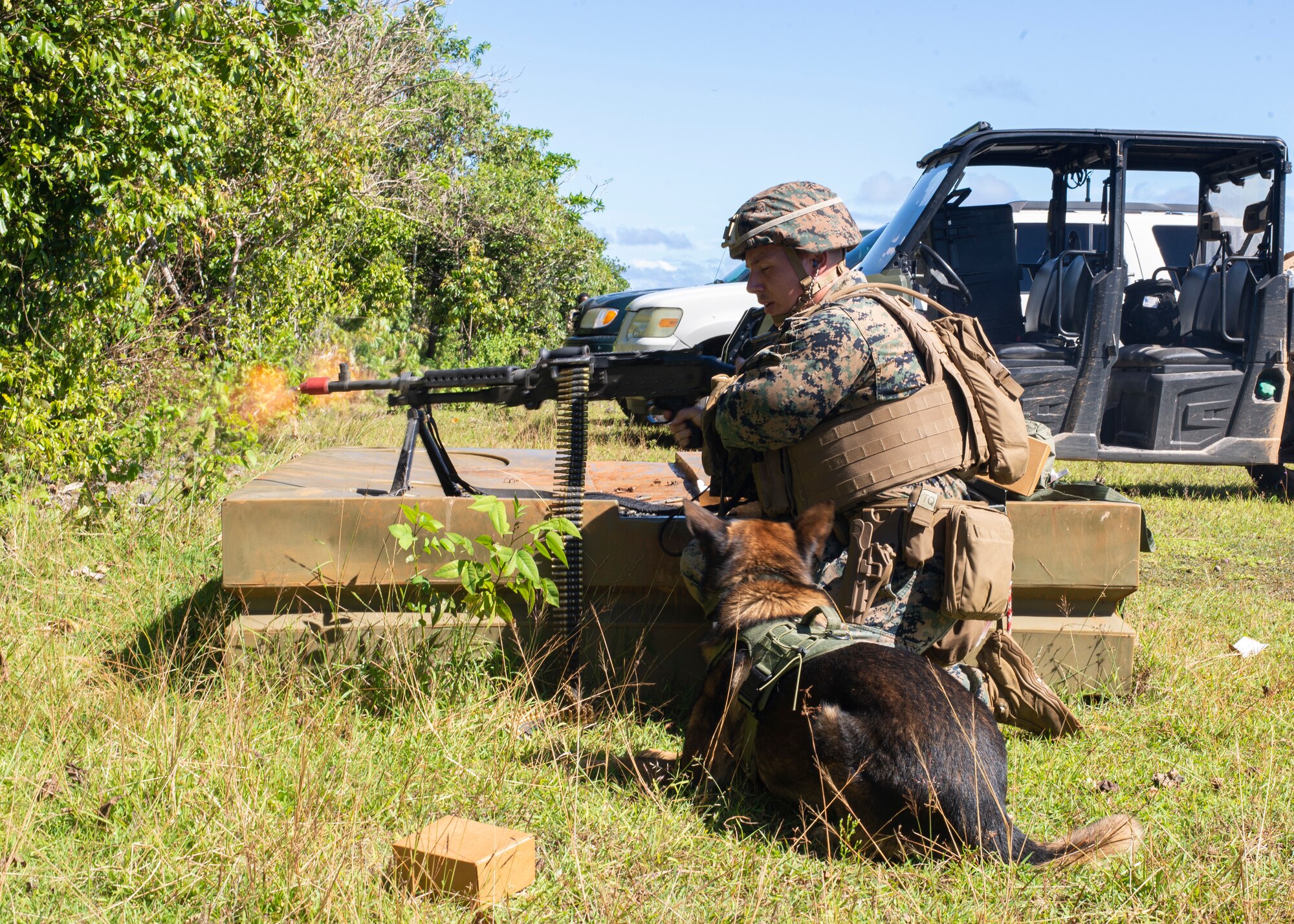 Lance Cpl. Andrew Lutz, 3rd Law Enforcement Battallion, fires a light machine gun to acclimate OOhio to the sounds of combat on Andersen Air Force Base, Guam Nov. 20. Marines and Airmen exchanged MWD techiques to enhance joint mission effectivness. (U.S. Air Force photo by Staff Sgt. Nicholas Crisp)