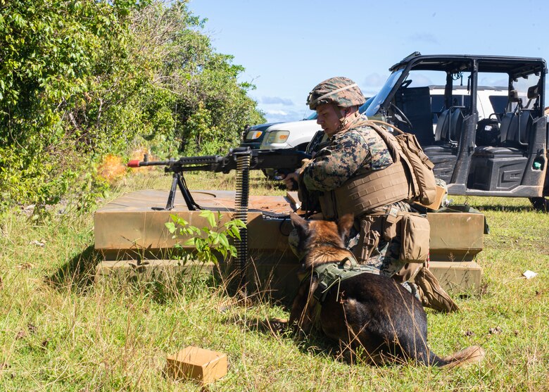 Lance Cpl. Andrew Lutz, 3rd Law Enforcement Battallion, fires a light machine gun to acclimate OOhio to the sounds of combat on Andersen Air Force Base, Guam Nov. 20. Marines and Airmen exchanged MWD techiques to enhance joint mission effectivness. (U.S. Air Force photo by Staff Sgt. Nicholas Crisp)
